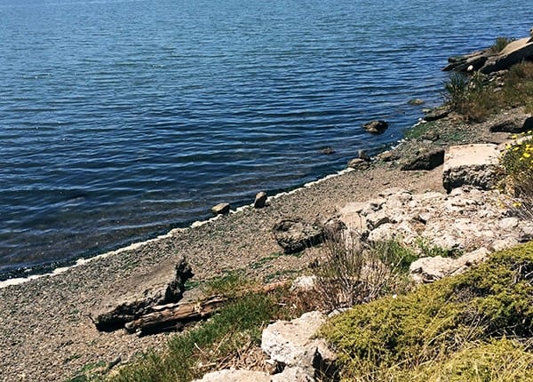 The San Francisco Bay Trail near Jack London Square in Oakland